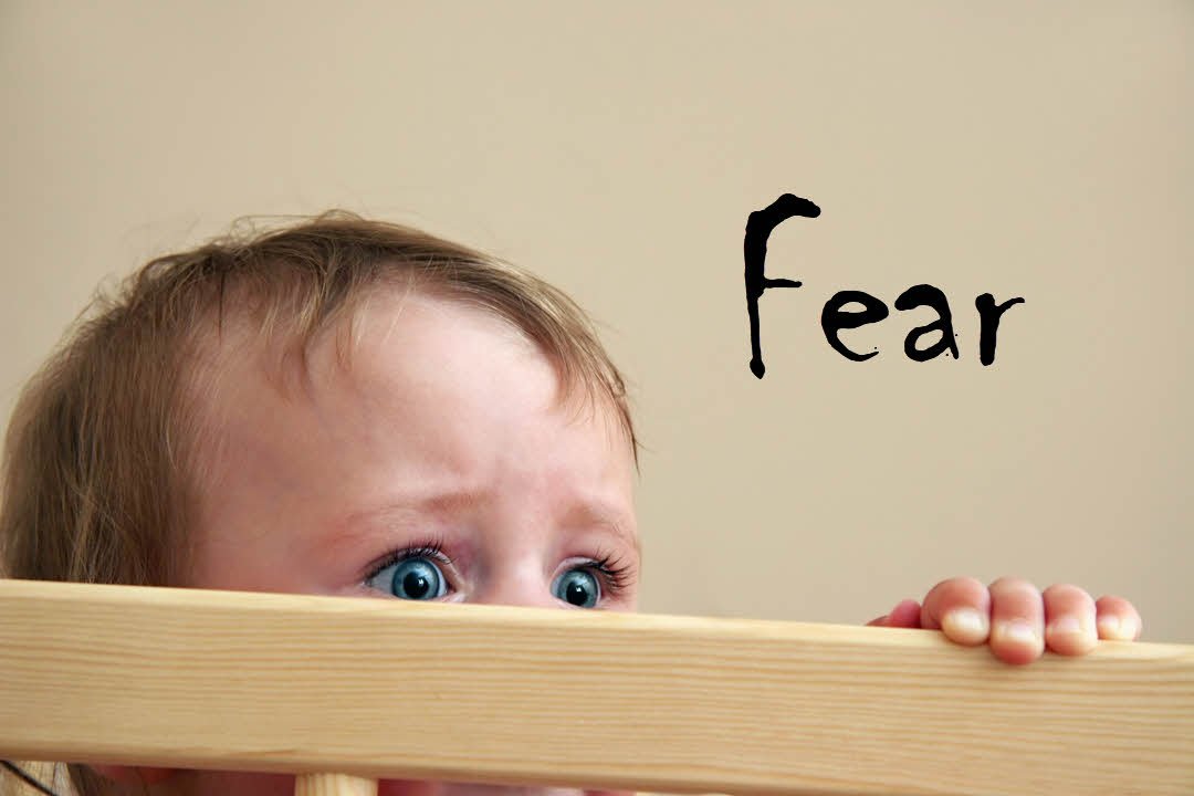 Why Is MAGA Always So Mad? Fear